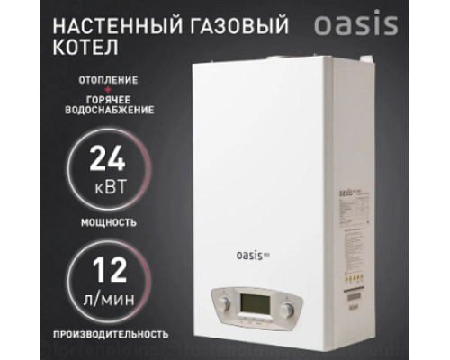  Котел газовый настенный RE-24 Oasis 