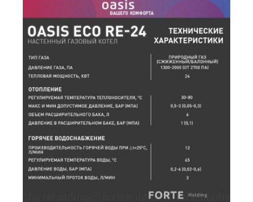  Котел газовый настенный RE-24 Oasis 