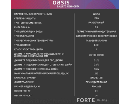  Котел газовый настенный RE-24 Oasis 